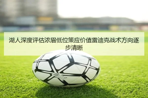 湖人深度评估浓眉低位策应价值雷迪克战术方向逐步清晰